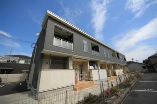 シェーネユリの画像