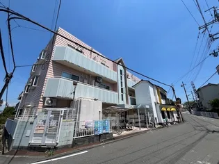 シャルマンなびかの画像