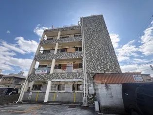 阪南パピレスの画像