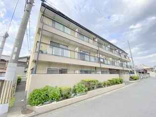 シティハイツ本町の画像