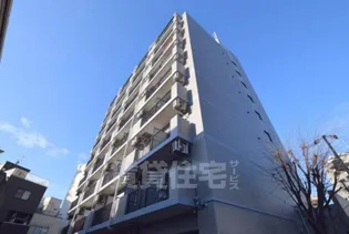 コンセール裕恵の画像