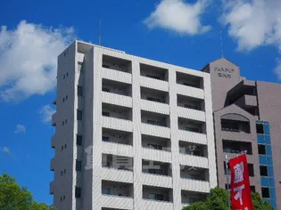 Star Heights【10階】の外観