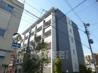 シェリールエヴァンの画像