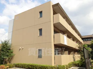 サンオリーブの画像