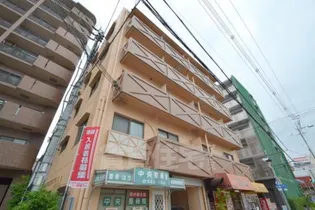 ハイム蘭の画像