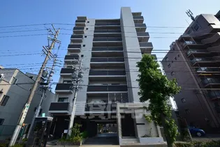 SAKURA FUJINALEの画像