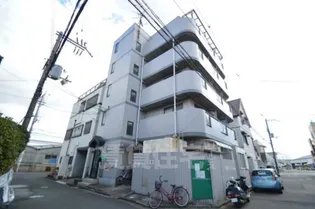 ゾーンエバーグリーンの画像