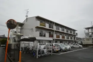 グリーンコートの画像