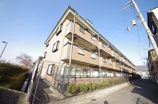 アムール新池島の画像