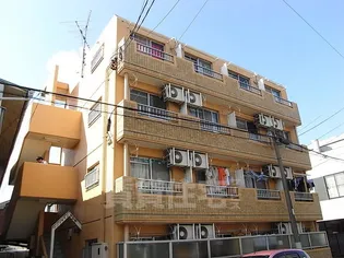 サンシャインサツキの画像