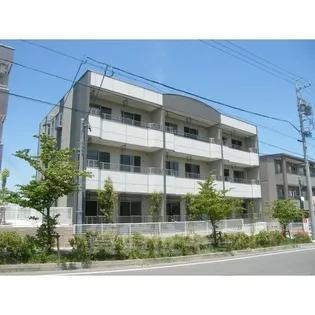 ヴェルスの画像