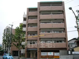 ルピナス紫明の画像