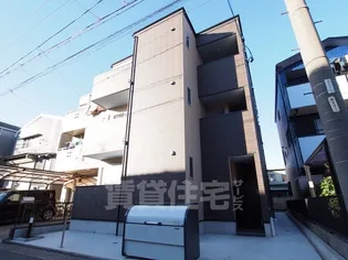 シャインスターの画像