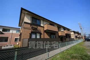 ブリリアント ココハの画像