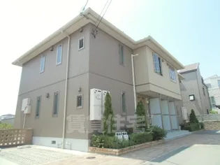 ベヌスタ丸橋の画像