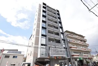 REGGATO中百舌鳥の画像