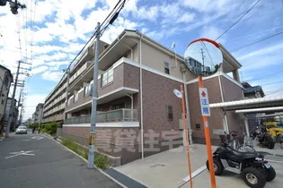 ネオカーサの画像