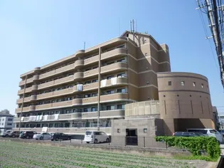グレースナカミヤの画像
