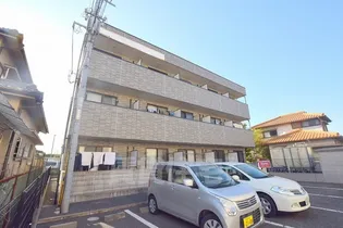 アンプルールフェールREALIFE2の画像