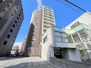 ピースクエアシュモクの画像