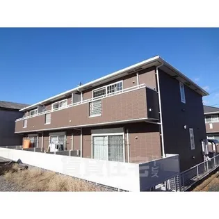 プラシードBの画像