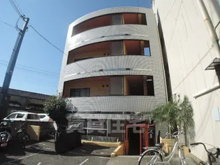 PINE TREEの画像