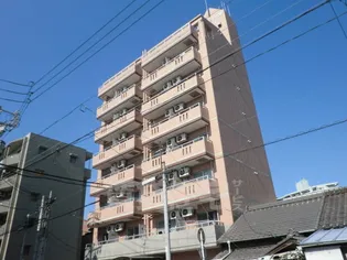 グレイス日比野の画像