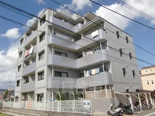 メゾンプルミエール桂の画像