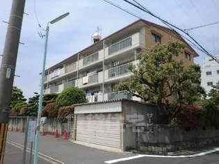 サンライズ江副【4階】の外観