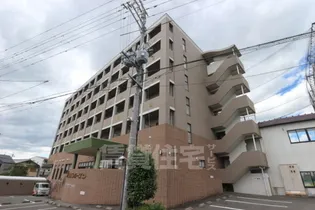 エル カーサーの画像