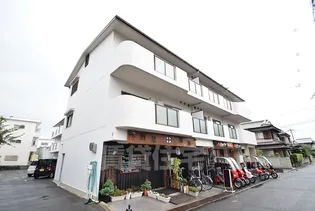 ルネ真砂の画像