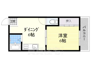 コーポエクシード【503号室】の間取り