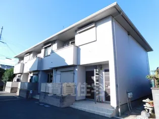 ベルカーサの画像