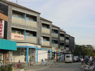 HERSE D'ORの画像