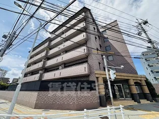 SERENO HARAの画像