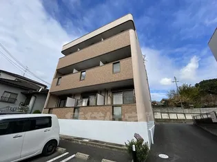 ボア ソルティの画像