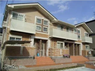 サニーシーズンの画像