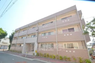 パルム ドールの画像