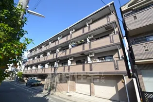 コージ コート クイセの画像