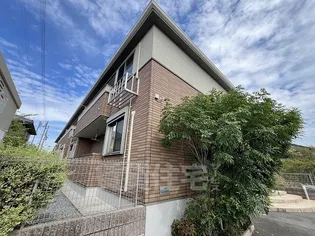 アルファコートの画像