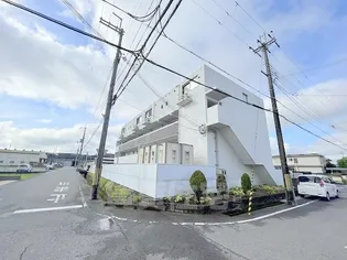 フェリスの画像