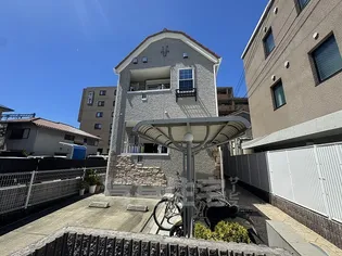 プロミネントT Mの画像