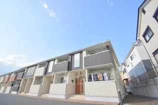 プラシード2の画像