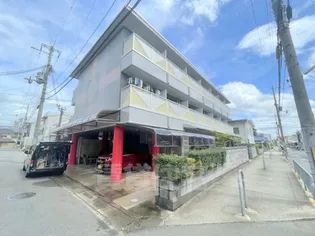 パルデメールの画像