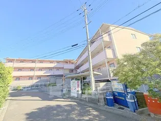 アートプラザ野路の画像