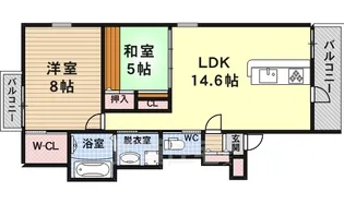 ルシオ藤井寺【1階】の間取り