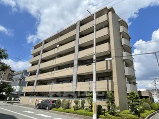 エンジェルズ アイの画像