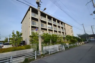 アビタシオンデュプルミエ【2階】の外観