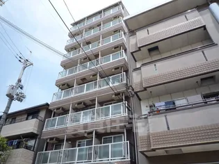 ライムライトの画像