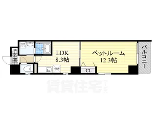 BSレジデンス栄(旧グランルージュ栄【7階】の間取り